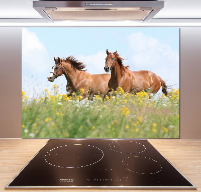 Cooker splashback Two horses at a gallop