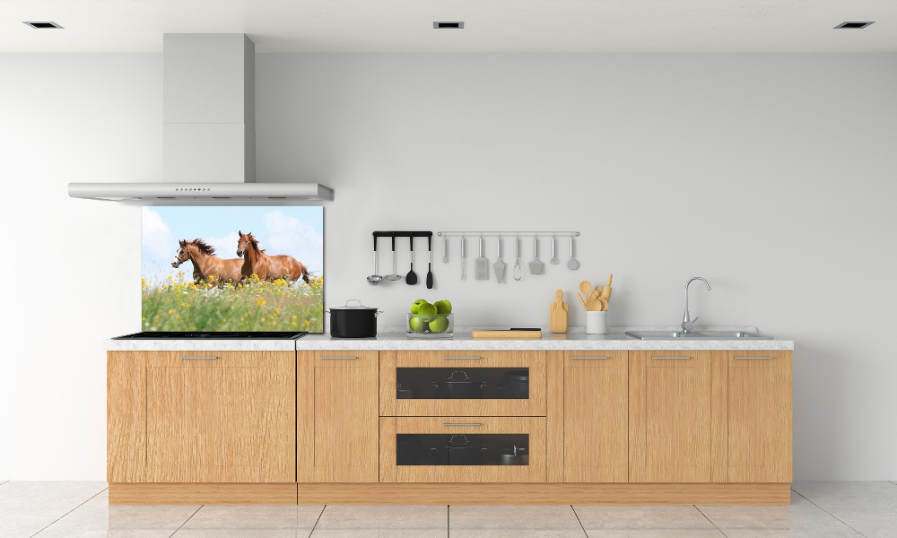 Cooker splashback Two horses at a gallop