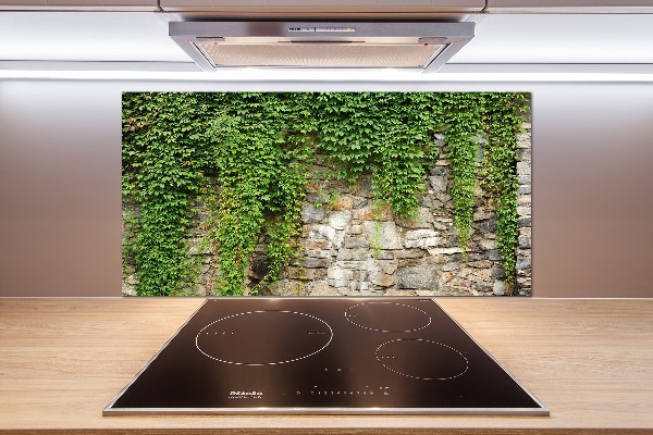 Hob splashback Green ivy