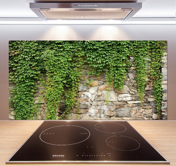 Hob splashback Green ivy