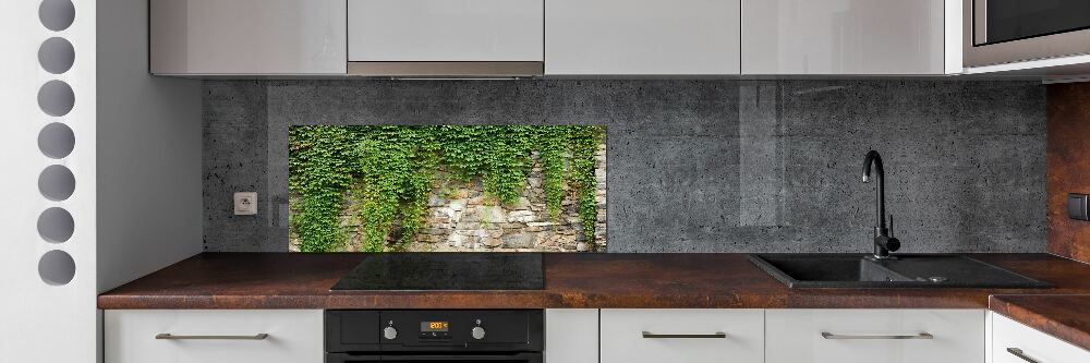 Hob splashback Green ivy