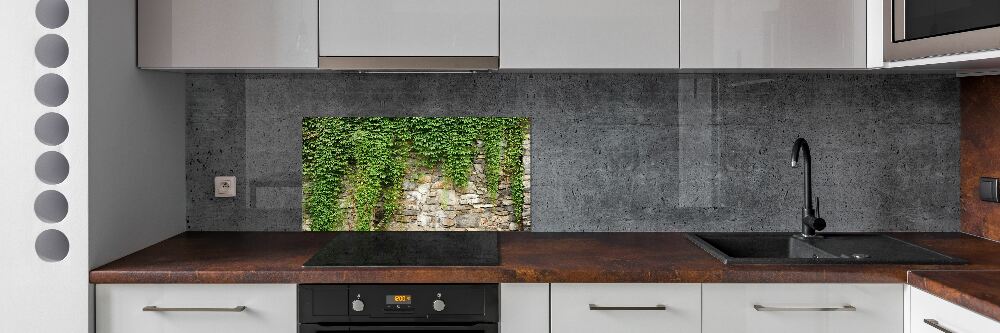 Hob splashback Green ivy