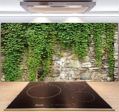 Hob splashback Green ivy