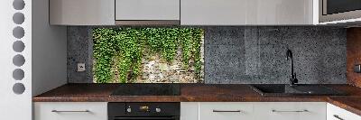 Hob splashback Green ivy