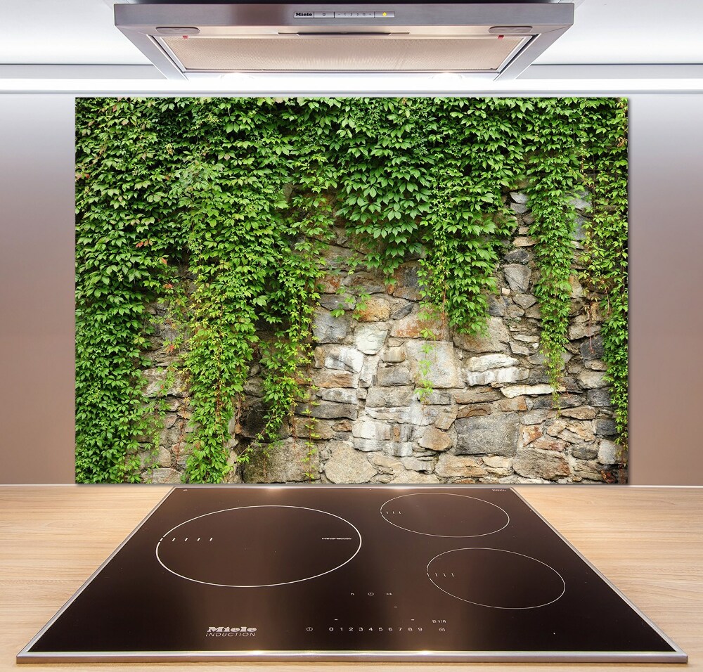 Hob splashback Green ivy