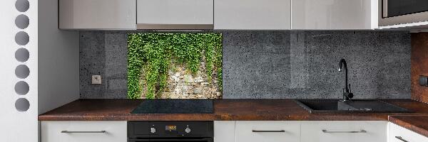 Hob splashback Green ivy