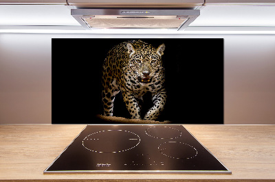 Cooker splashback Jaguar