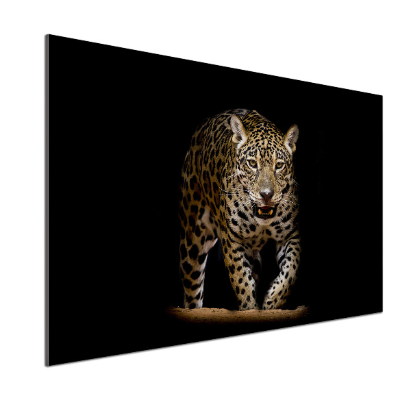 Cooker splashback Jaguar