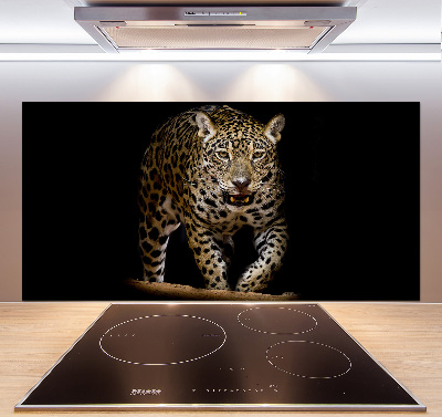 Cooker splashback Jaguar