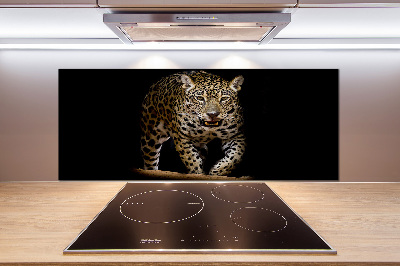 Cooker splashback Jaguar