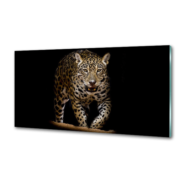 Cooker splashback Jaguar