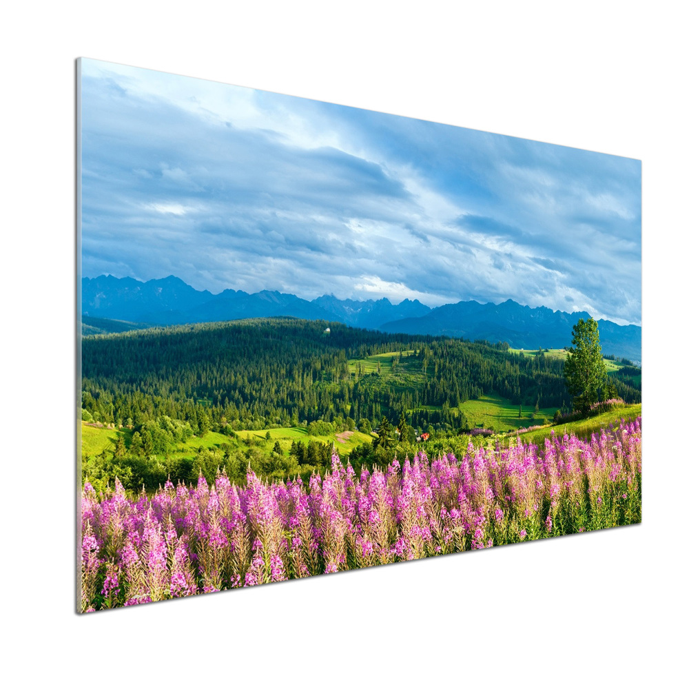 Kitchen splashback Lavender in the mountains