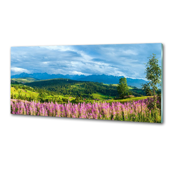 Kitchen splashback Lavender in the mountains