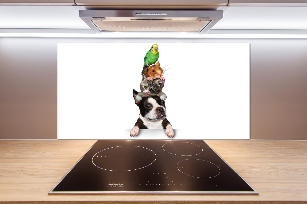 Cooker splashback Animal group