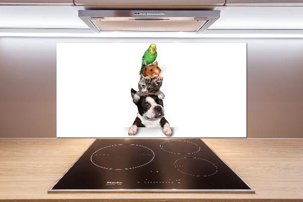 Cooker splashback Animal group