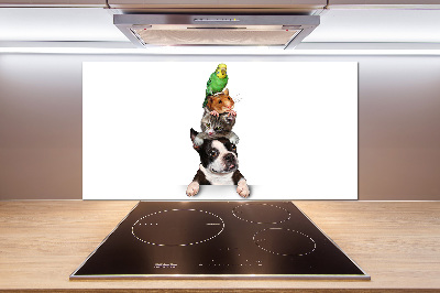 Cooker splashback Animal group