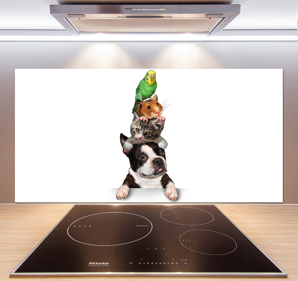 Cooker splashback Animal group