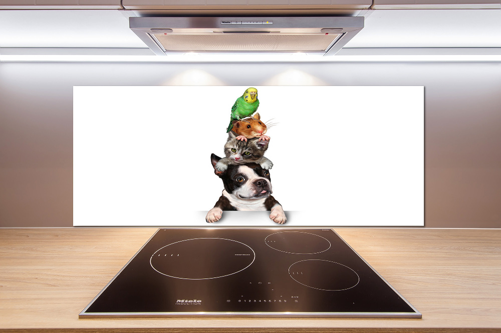 Cooker splashback Animal group