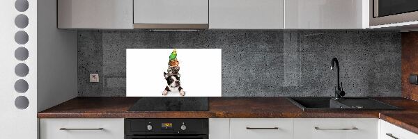 Cooker splashback Animal group