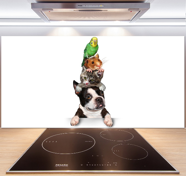 Cooker splashback Animal group