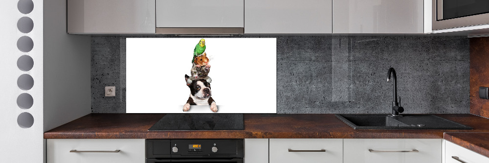 Cooker splashback Animal group