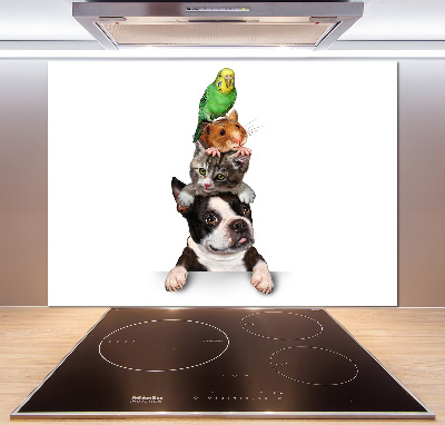 Cooker splashback Animal group