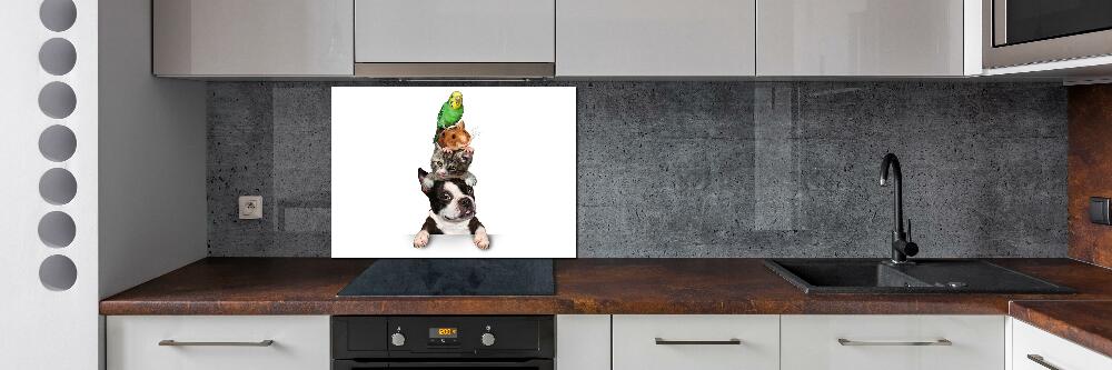 Cooker splashback Animal group