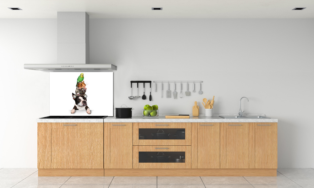 Cooker splashback Animal group