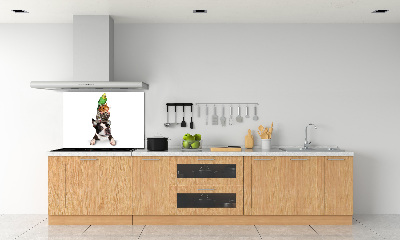 Cooker splashback Animal group