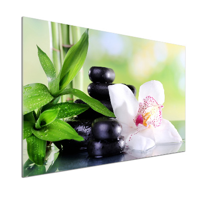 Kitchen splashback Orchid