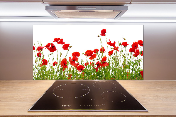 Kitchen splashback Macs