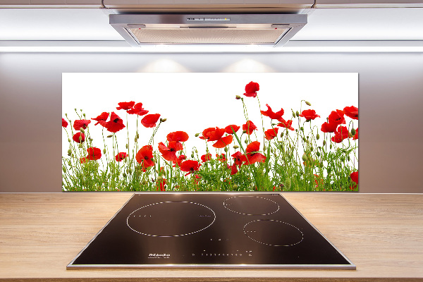 Kitchen splashback Macs