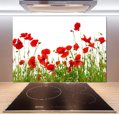 Kitchen splashback Macs