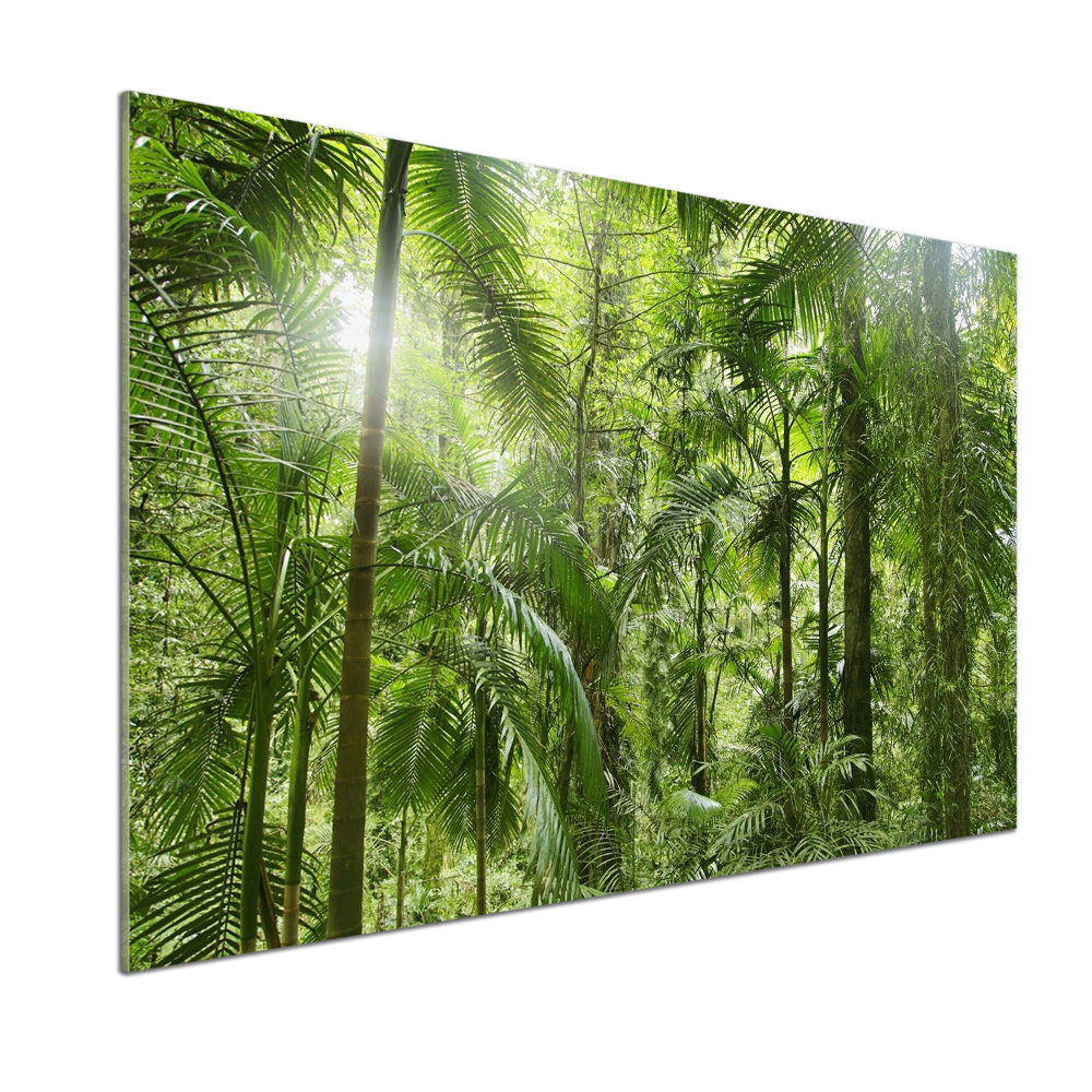 Kitchen splashback tropical forest