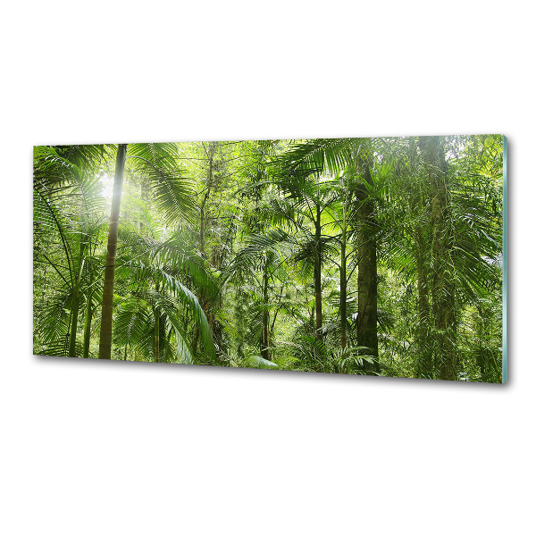 Kitchen splashback tropical forest