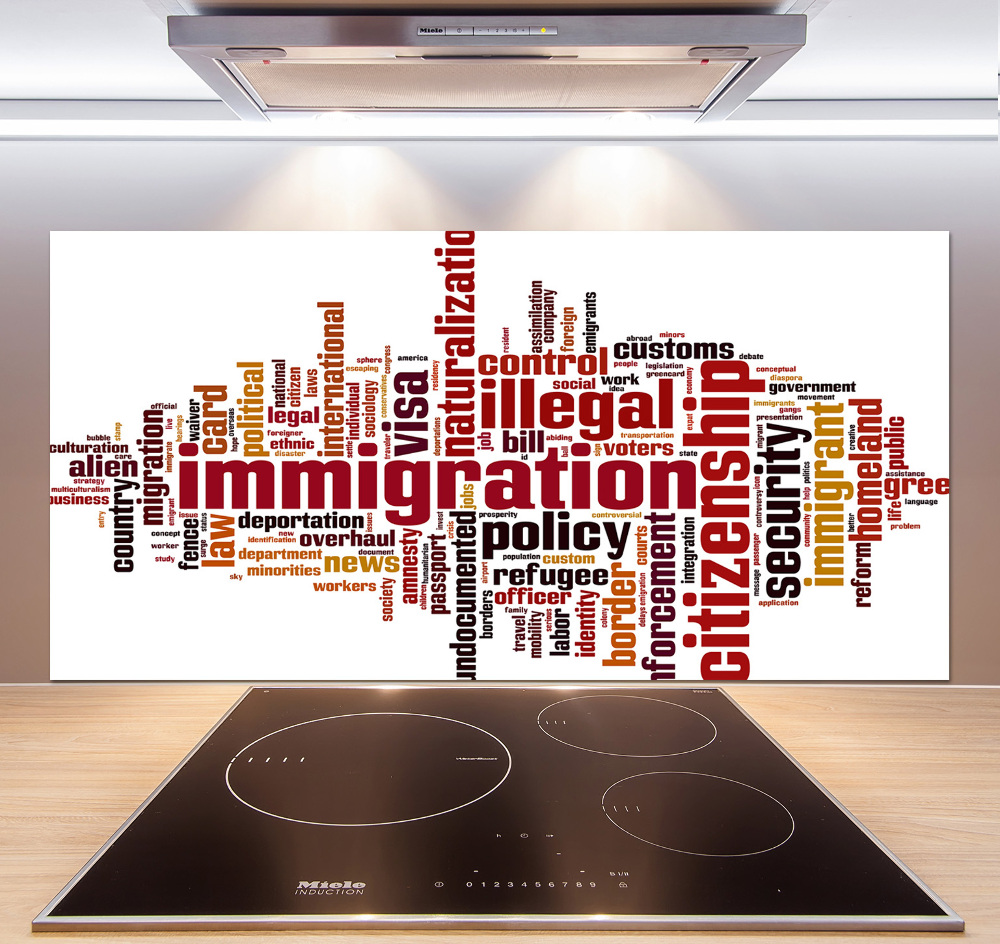 Cooker splashback Immigration