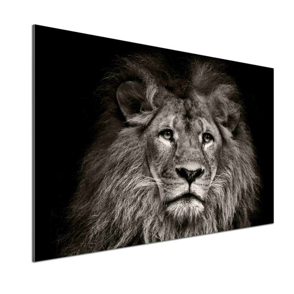 Cooker splashback Lion