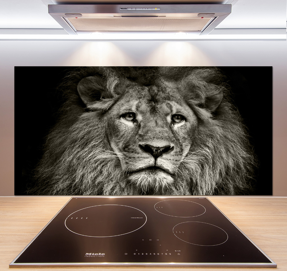 Cooker splashback Lion