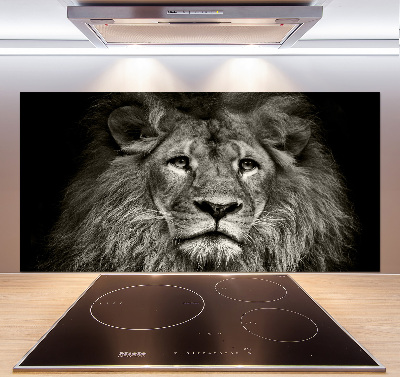 Cooker splashback Lion