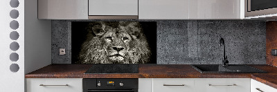 Cooker splashback Lion