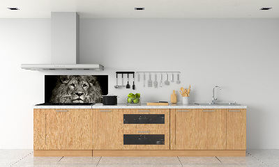 Cooker splashback Lion