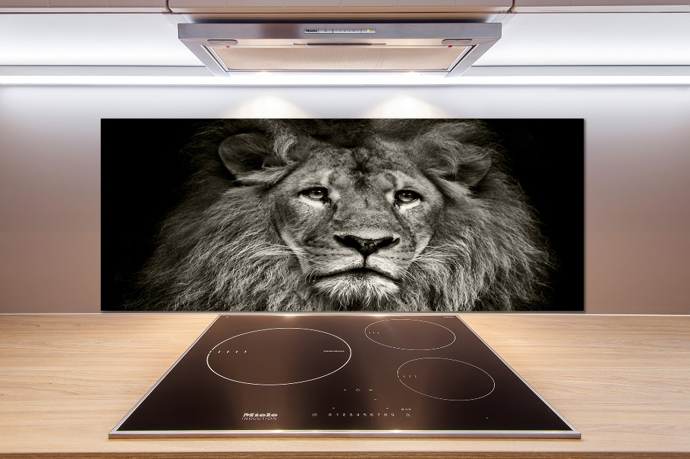 Cooker splashback Lion