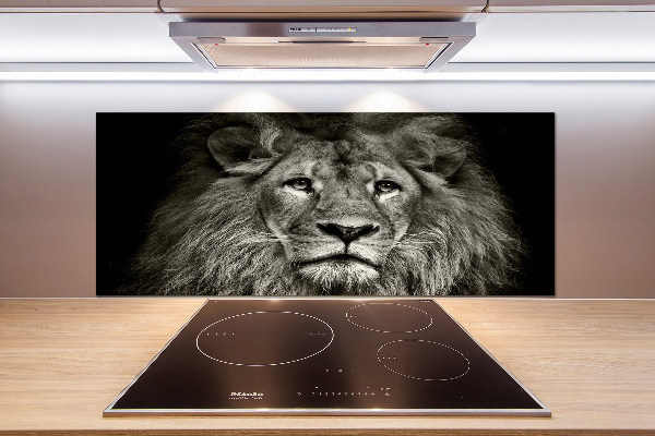 Cooker splashback Lion