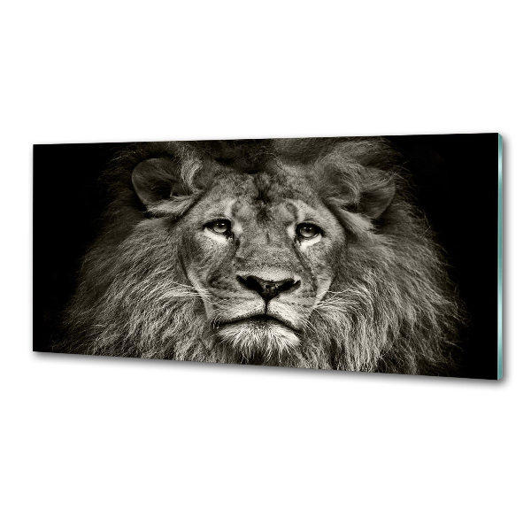 Cooker splashback Lion