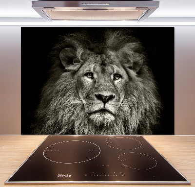 Cooker splashback Lion