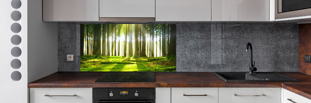 Cooker splashback Forest in the sun