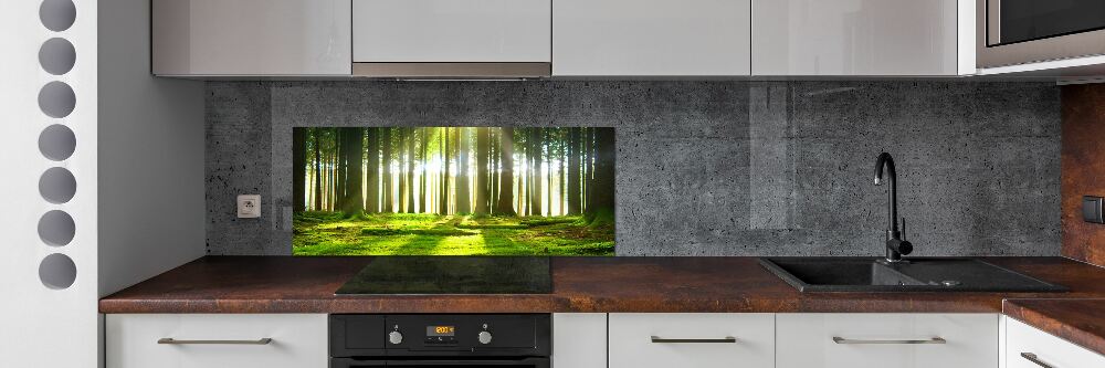 Cooker splashback Forest in the sun