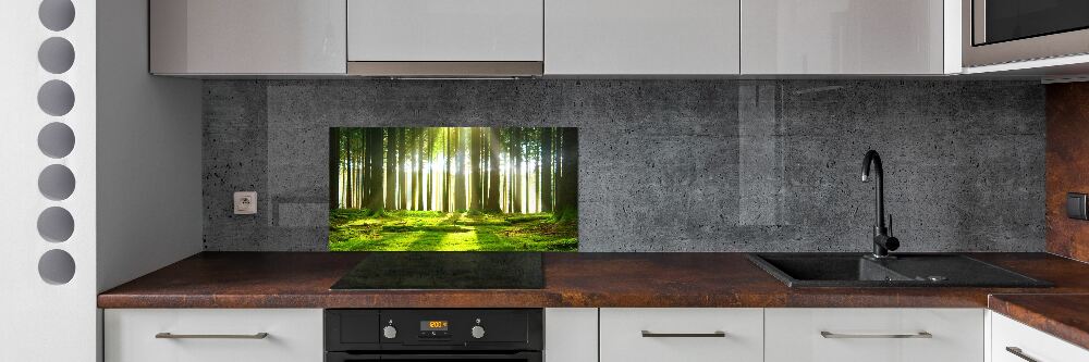 Cooker splashback Forest in the sun