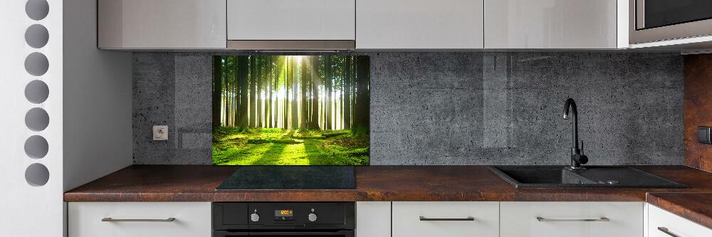 Cooker splashback Forest in the sun