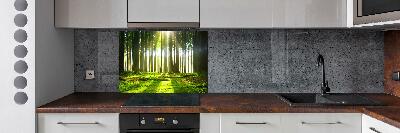 Cooker splashback Forest in the sun